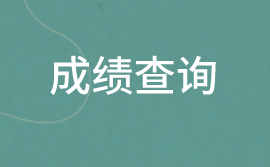 2020中級(jí)審計(jì)師成績查詢信息