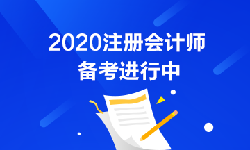 初級(jí)考試推遲了 注會(huì)也會(huì)推遲嗎？