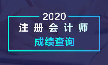 成都2020注會(huì)考試成績(jī)查詢(xún)時(shí)間