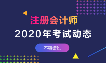 山東地區(qū)2020年注冊(cè)會(huì)計(jì)師什么時(shí)候考試？