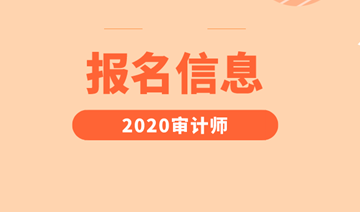 2020審計(jì)師報(bào)名信息