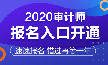 2020審計師報名入口