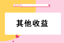 “其他收益”會(huì)計(jì)科目只核算政府補(bǔ)助？錯(cuò)！錯(cuò)！錯(cuò)！