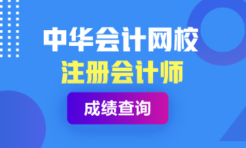 2020年青海注會考試成績查詢?nèi)肟陂_通時間