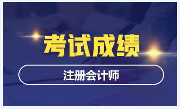 2020年湖北注冊會(huì)計(jì)師考試成績查詢時(shí)間