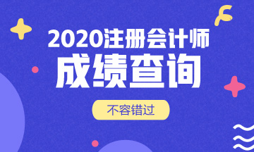 山東2020年CPA成績查詢時間