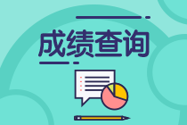 中級審計師考試成績查詢