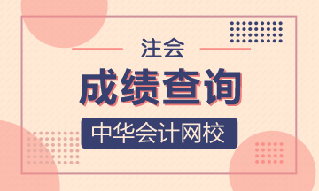 注會2020年成績查詢?nèi)肟陂_通時間