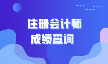 2020年CPA什么時候可以查成績？