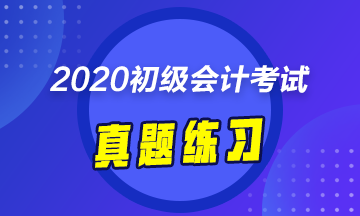 甘肅2020年初級會計考試《經(jīng)濟法基礎》練習題庫及答案