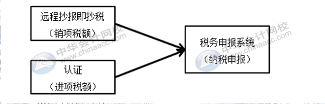 每月征期該怎么抄報(bào)呢？步驟來(lái)了~