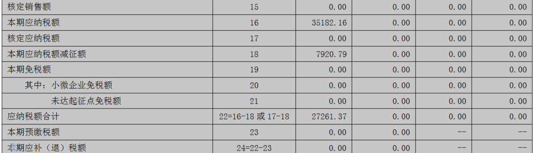 2020年增值稅小規(guī)模納稅人該如何申報(bào)？