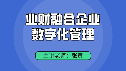 業(yè)財融合企業(yè)數(shù)字化管理 