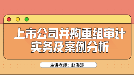 上市公司并購重組審計實務及案例分析