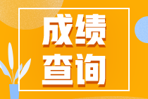 2020年重慶市初級會計(jì)成績查詢?nèi)肟谑悄膫€(gè)啊？