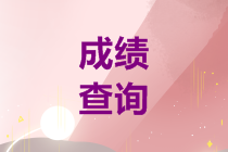 山東煙臺(tái)中級(jí)會(huì)計(jì)職稱(chēng)查分時(shí)間