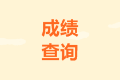 2020年西藏山南市中級成績查詢?nèi)肟陂_通了嗎？