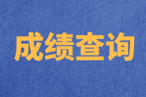 上海2020年資產(chǎn)評(píng)估師考試成績(jī)查詢(xún)流程確定了嗎？