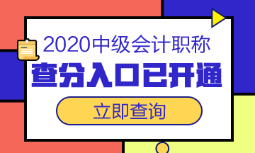 浙江臺(tái)州市2020年中級(jí)會(huì)計(jì)職稱(chēng)成績(jī)查詢(xún)?nèi)肟谝验_(kāi)通！