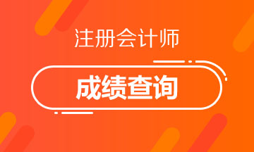 2020年注會專業(yè)階段成績查詢時間