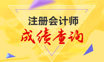 韶關2020注會成績查詢時間