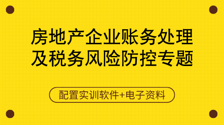 房地產(chǎn)財稅-房地產(chǎn)企業(yè)賬務處理及稅務風險防控（含做賬報稅實訓軟件）