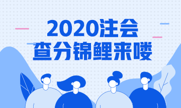 2020年注會成績查詢錦鯉報道！總有一款適合你~