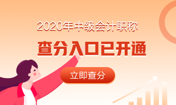 2020年會(huì)計(jì)中級(jí)成績(jī)查詢