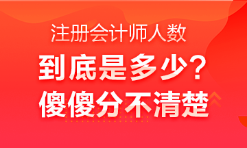 中國注冊會計(jì)師行業(yè)全國從業(yè)人員超40萬人？不是二十多萬嗎？