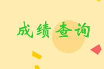 遼寧沈陽2020年中級(jí)考試成績(jī)查詢時(shí)間是？