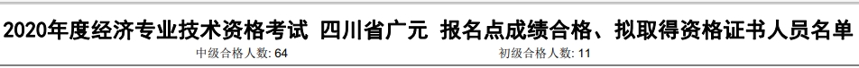 廣元2020年初中級(jí)經(jīng)濟(jì)師考試合格人數(shù)