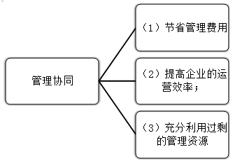 2021高會(huì)《高級會(huì)計(jì)實(shí)務(wù)》考試知識(shí)點(diǎn)：發(fā)揮協(xié)同效應(yīng)