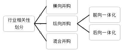 2021高會《高級會計實務》考試知識點：企業(yè)并購類型（二）