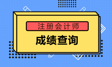 2020甘肅注冊會(huì)計(jì)師成績查詢時(shí)間出了！