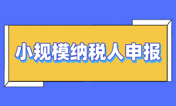 小規(guī)模納稅人申報時注意4大要點