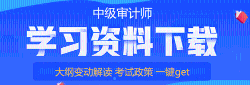 中級審計師學(xué)習(xí)資料