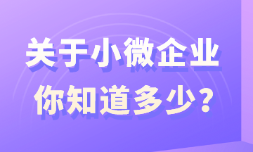 關(guān)于小微企業(yè)，你知道多少？