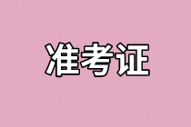 審計師準(zhǔn)考證