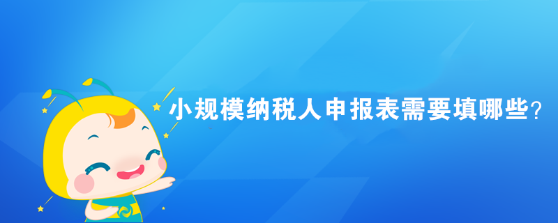 小規(guī)模納稅人申報(bào)表需要填哪些？