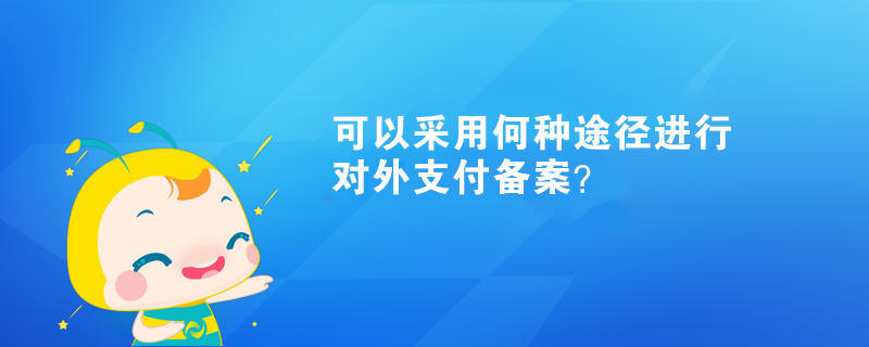 可以采用何種途徑進行對外支付備案？