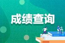 2021高級經(jīng)濟(jì)師成績查詢