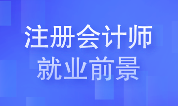 【答疑】考下CPA之后除了去事務(wù)所 還能做什么？