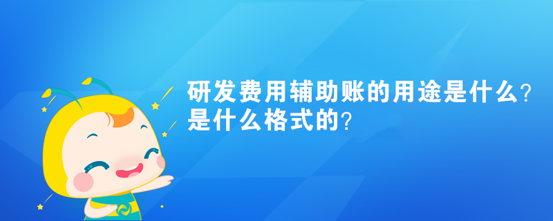 研發(fā)費(fèi)用輔助賬的用途是什么？是什么格式的？