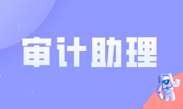 審計(jì)助理做什么？需要滿足什么條件？