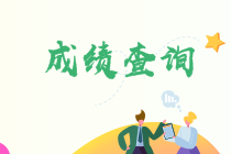 往年注冊(cè)會(huì)計(jì)師成績查詢流程是什么？