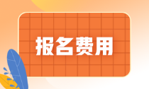 海南省2022年初級會計報名費(fèi)是多少錢？