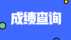 西藏2021注冊會計師考試成績查詢?nèi)肟?速看！