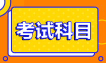 廣東省深圳市2022年初級(jí)會(huì)計(jì)考試科目有什么？