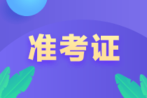 稅務(wù)師準(zhǔn)考證打印