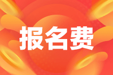 中級(jí)管理會(huì)計(jì)師報(bào)名費(fèi)多少錢？